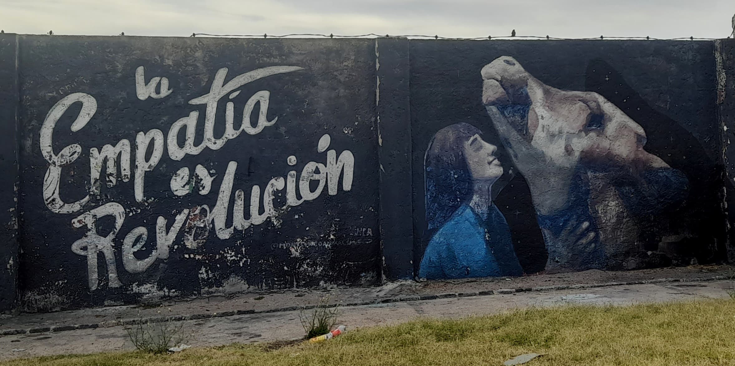 Vegan graffiti in Montevideo, Uruguay